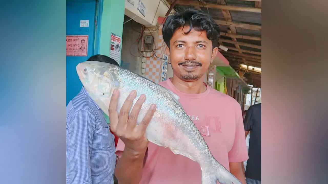 ৬ হাজার টাকায় বিক্রি এক ইলিশ