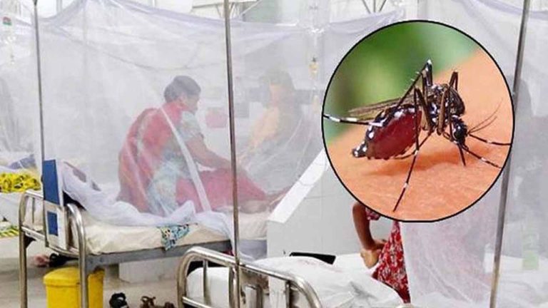 একদিনে ডেঙ্গুতে ২ মৃত্যু, হাসপাতালে ভর্তি ৩৬৪