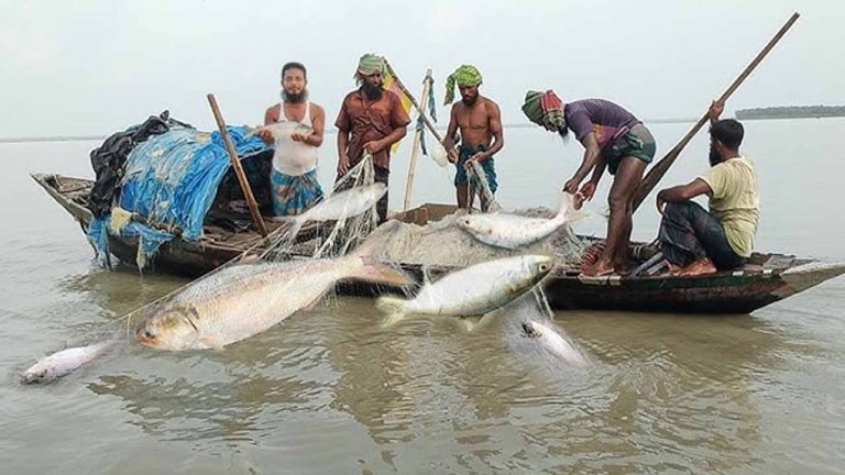 ইলিশ ধরায় ২২ দিনের নিষেধাজ্ঞা শুরু