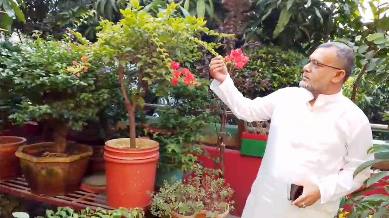 ২৯ নং ওয়ার্ডে হাজী শহিদুল ইসলাম বাবুলের উন্নয়নের ছোঁয়া: এক মানবিক নেতার প্রতিচ্ছবি