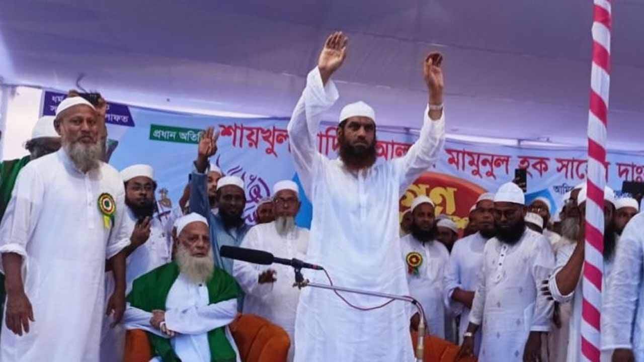 গণভোটে জুলাই সনদ কার্যকর করেই হবে সংসদ নির্বাচন: মামুনুল হক